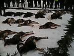 Jagdbilder_12