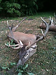 Jagdbilder_15