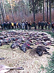 Jagdbilder_16