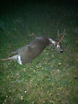 Jagdbilder_19