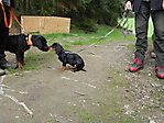 Jagdbilder_9